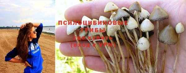 не бодяженный Володарск