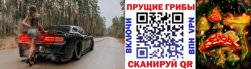 хочу наркоту  Бородино  Галлюциногенные грибы Magic Shrooms 